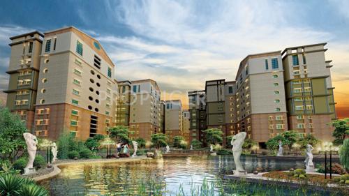  the-county Images for Elevation of Team The County