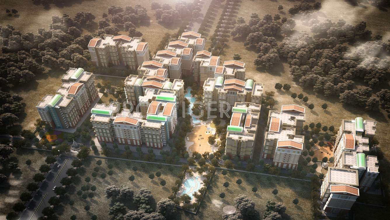 the county Images for Elevation of Team The County