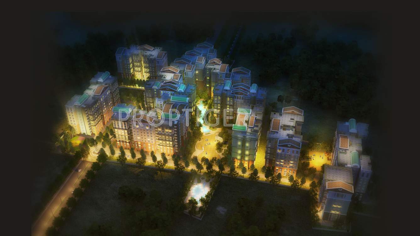 the county Images for Elevation of Team The County