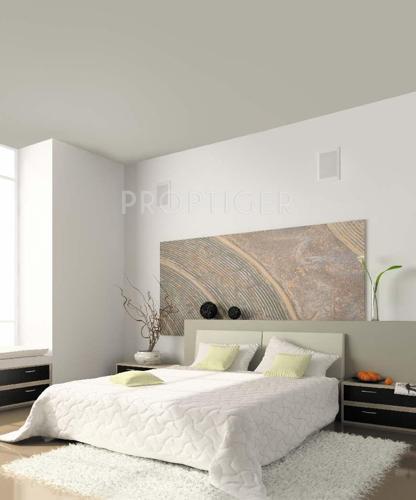  the-county Images for Main Other of Team The County