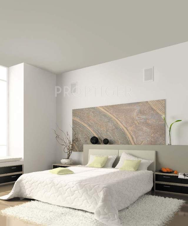 the county Images for Main Other of Team The County