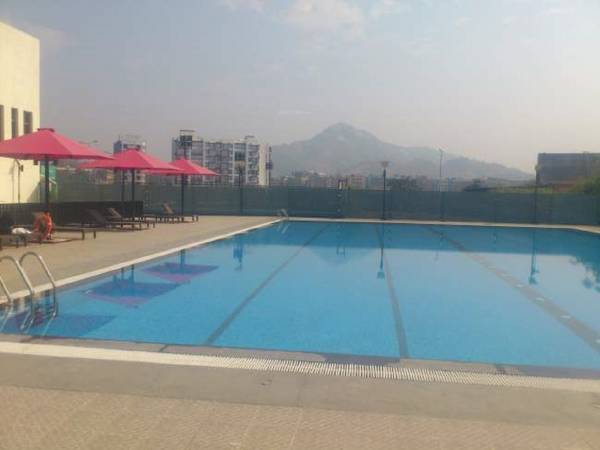  avenue-h Swimming Pool