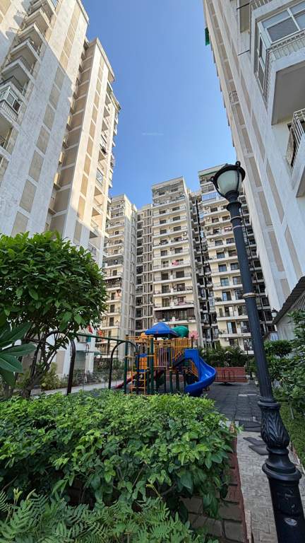  addela palm resorts Children's play area