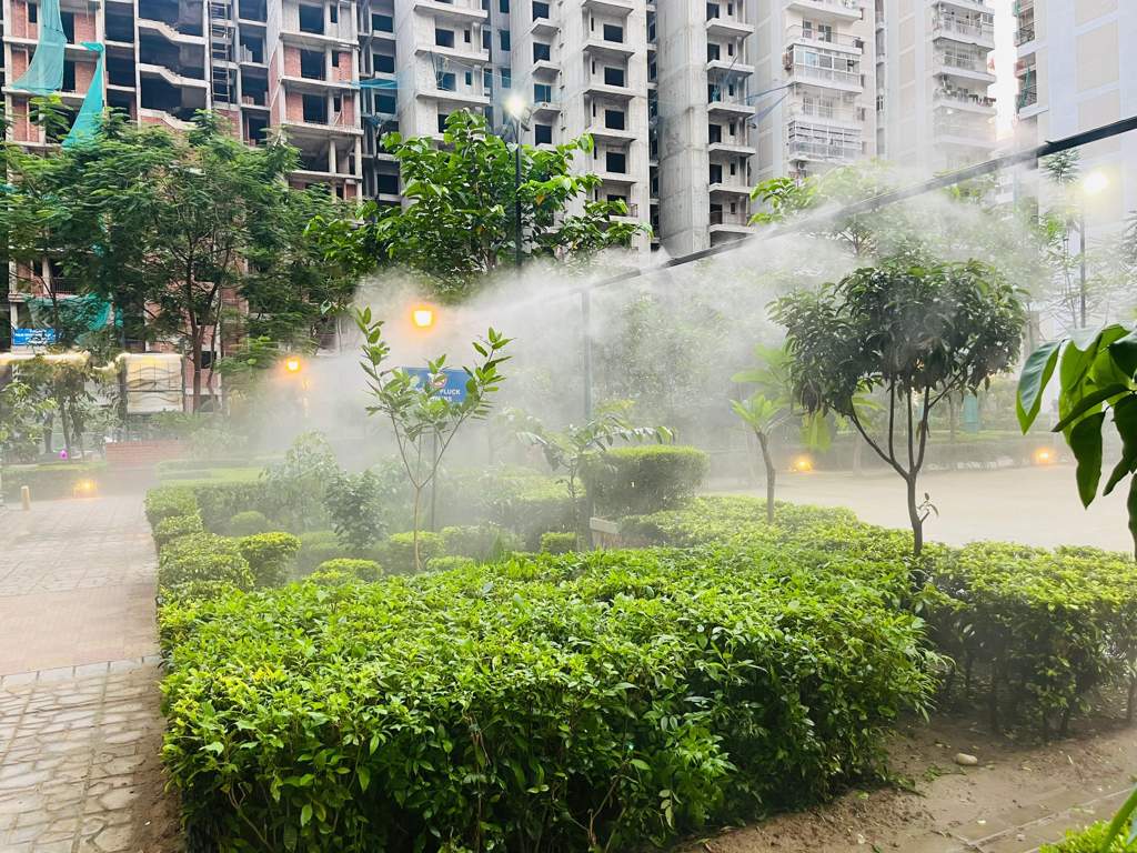  addela palm resorts Landscape Garden and Tree Planting