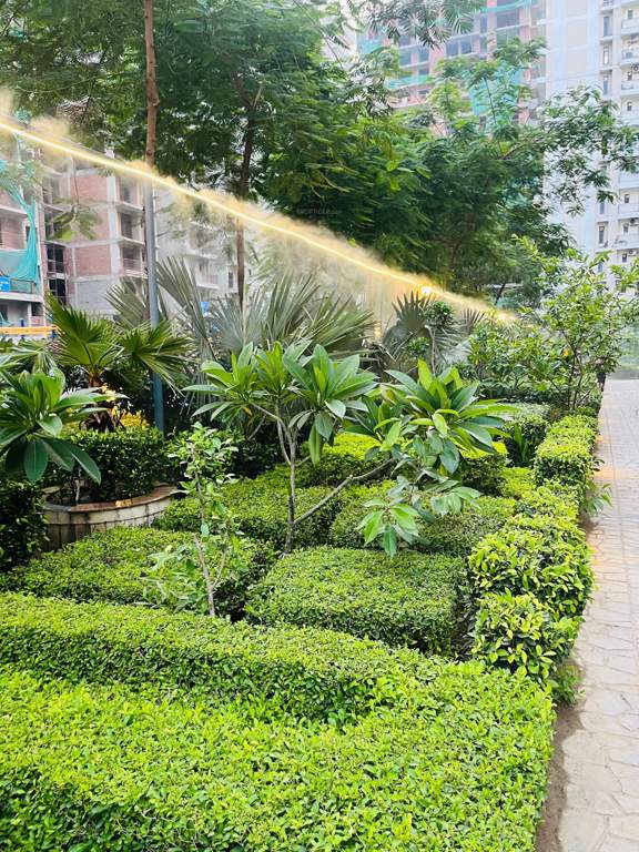  addela palm resorts Landscape Garden and Tree Planting