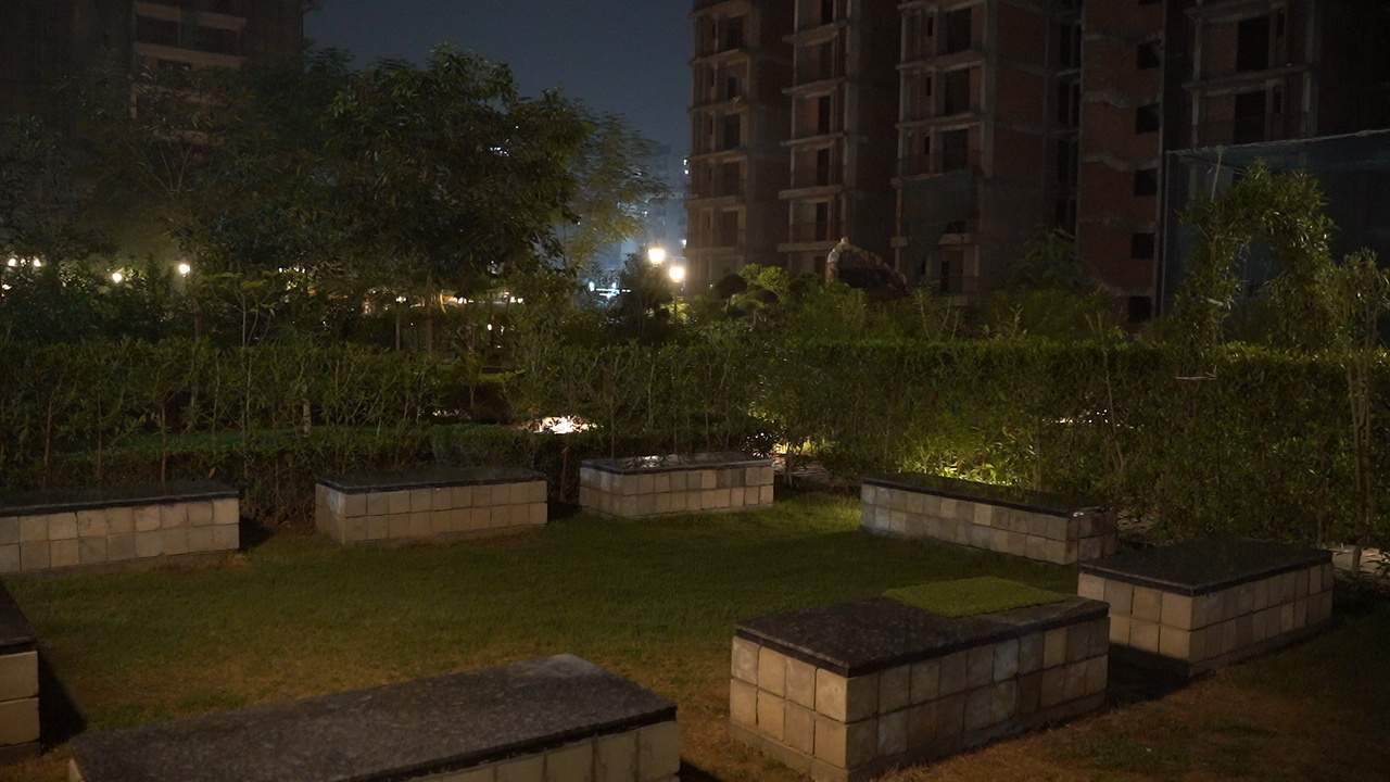  addela palm resorts Others