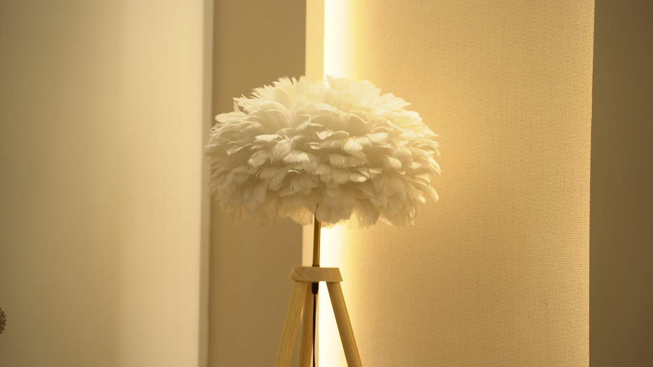  addela palm resorts Others