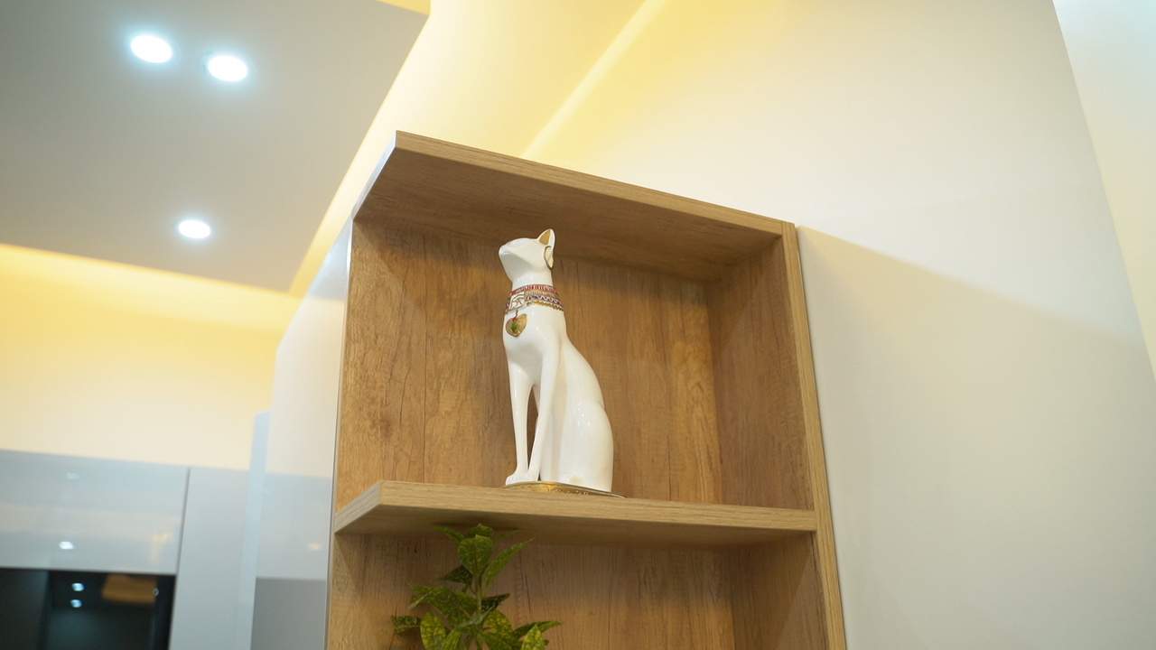  addela palm resorts Others