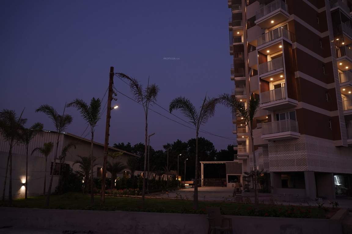  belvedere premia Belvedere Premia Construction Status May 24