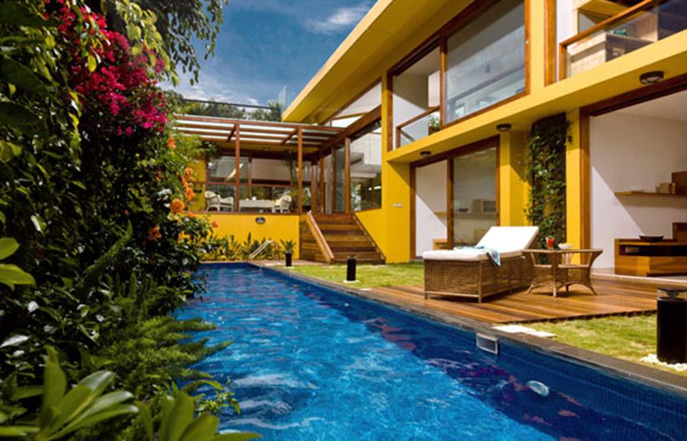 Images for Amenities of Total Environment Pursuit of a Radical Rhapsody