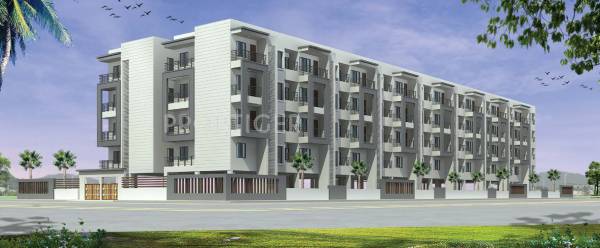 Images for Elevation of Radiant Prime Rose