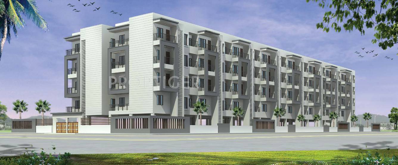 Images for Elevation of Radiant Prime Rose Images for Elevation of Radiant Prime Rose