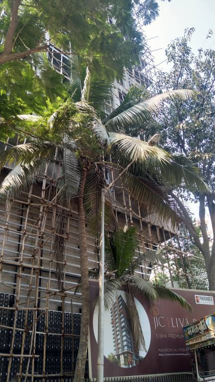 Images for constructionStatus