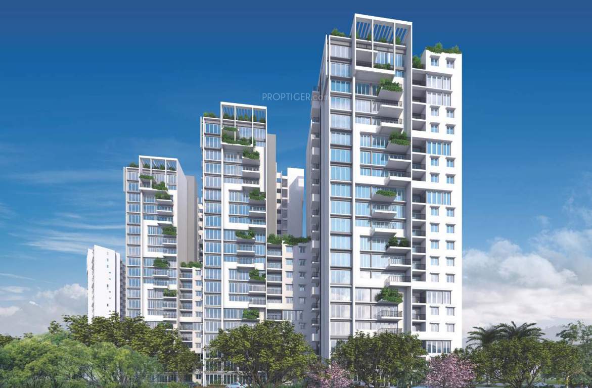  raj etternia Images for Elevation of SNN Raj Etternia