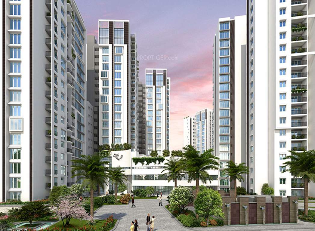  raj etternia Images for Elevation of SNN Raj Etternia