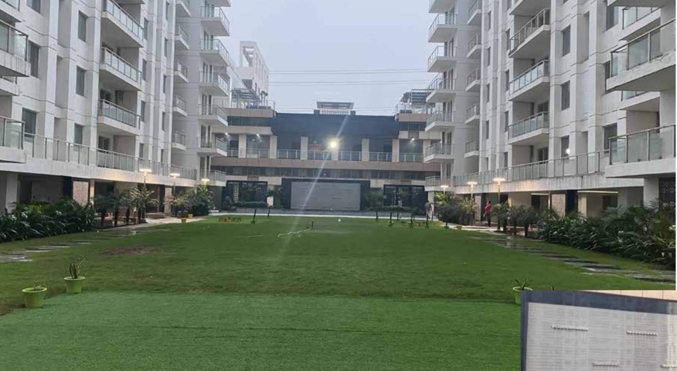  kimberly suits Landscape Garden and Tree Planting