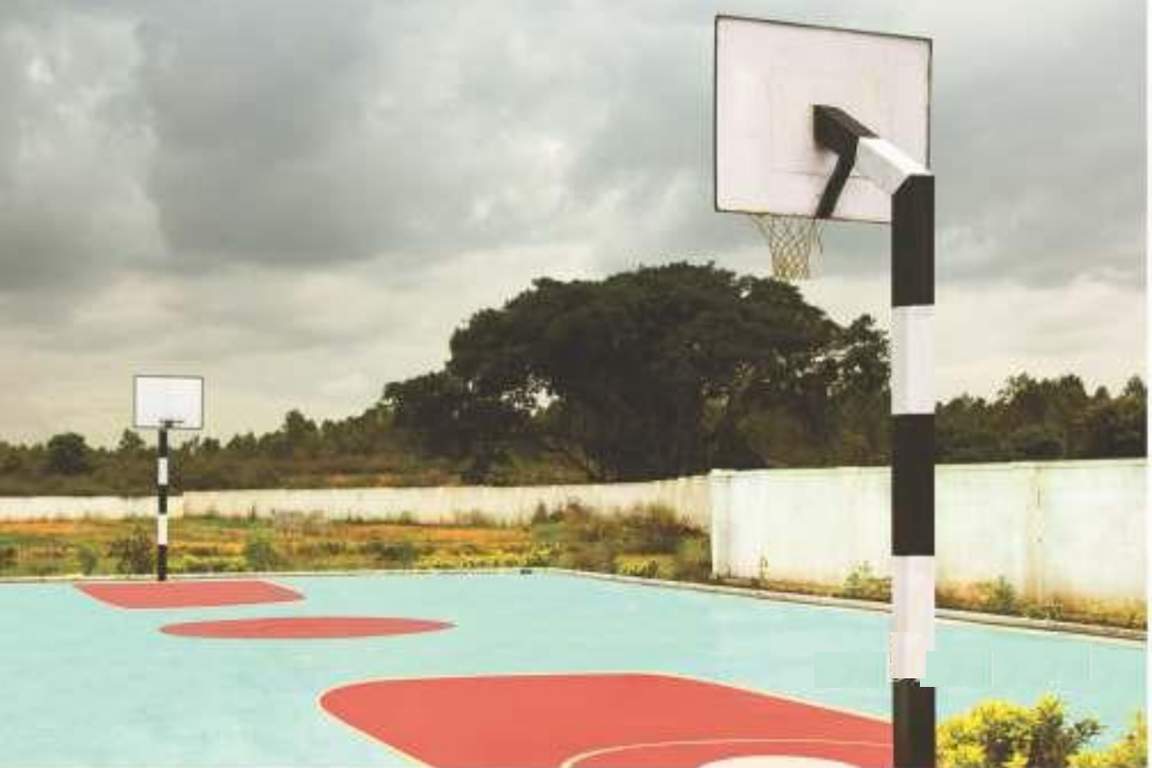  xotic anthea Basketball Court