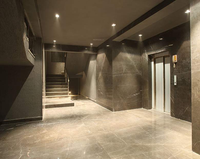  viva Images for Main Other of Progressive Viva