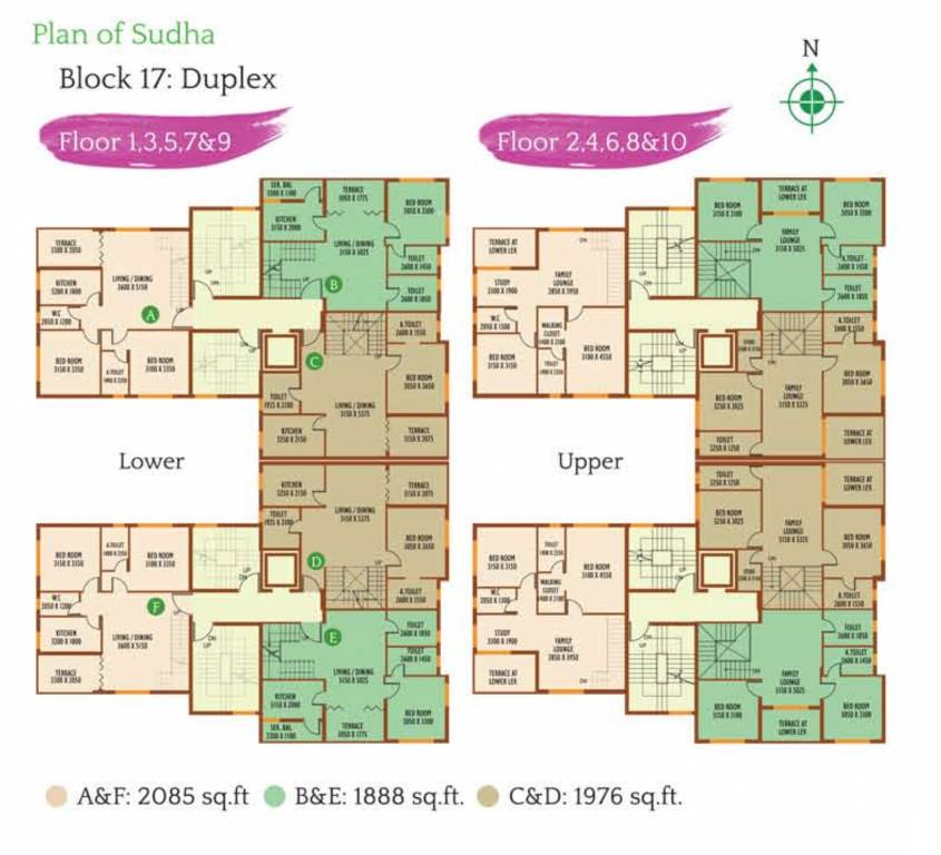 megacity Padmini Cluster Plan
