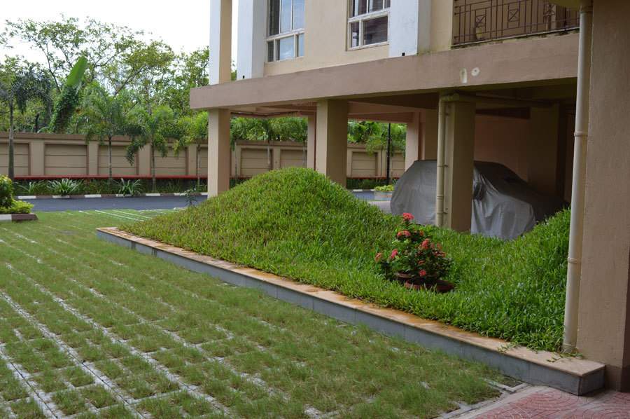 megacity Landscape Garden and Tree Planting