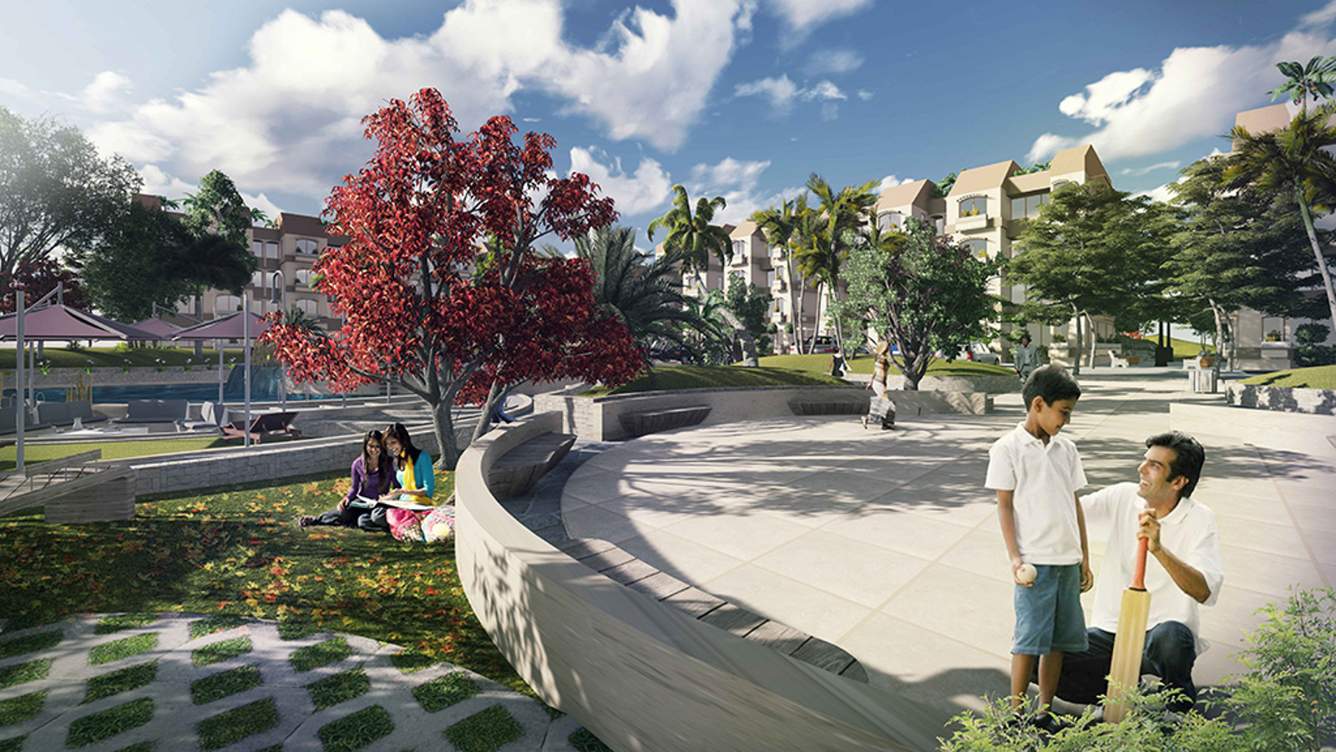  city Images for Elevation of Sheltrex City