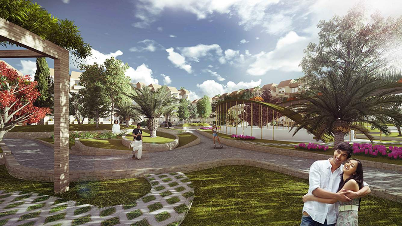  city Images for Elevation of Sheltrex City