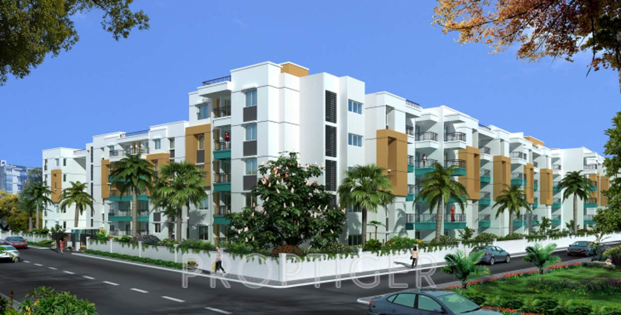  palms Images for Elevation of Bren Palms