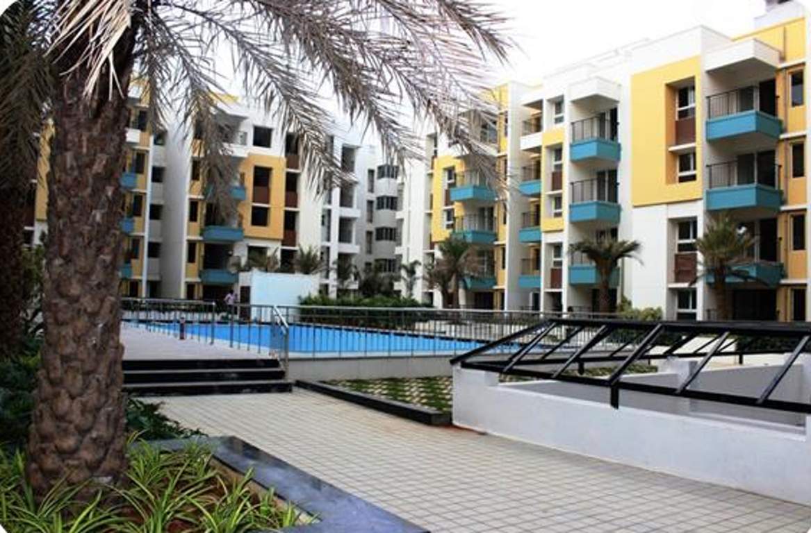  palms Images for Elevation of Bren Palms