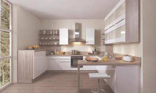  palms Images for Main Other of Bren Palms