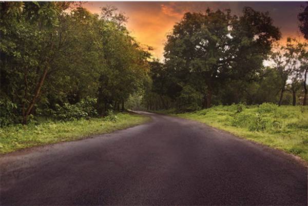  serenity-villas-phase-one Others