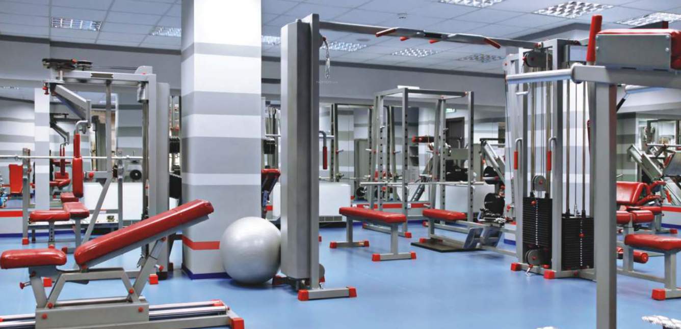 Images for Amenities of Shelton Shelton Vista