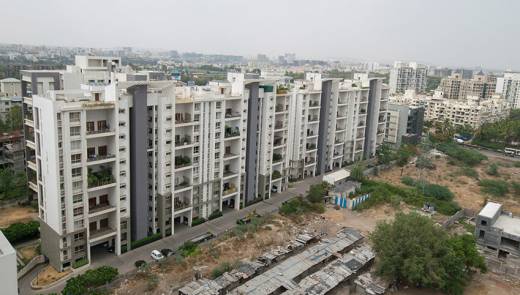 diva-1 Elevation Elevation