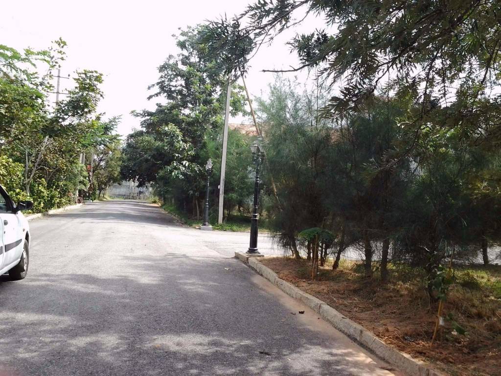  meadows Internal Roads & Footpaths