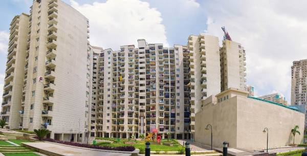 Elevation max-royal Elevation