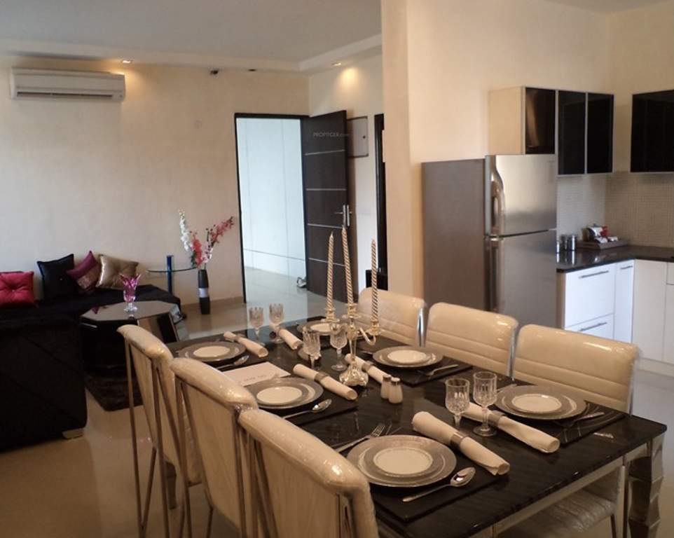 max royal Images for Main Other of Sethi Max Royal