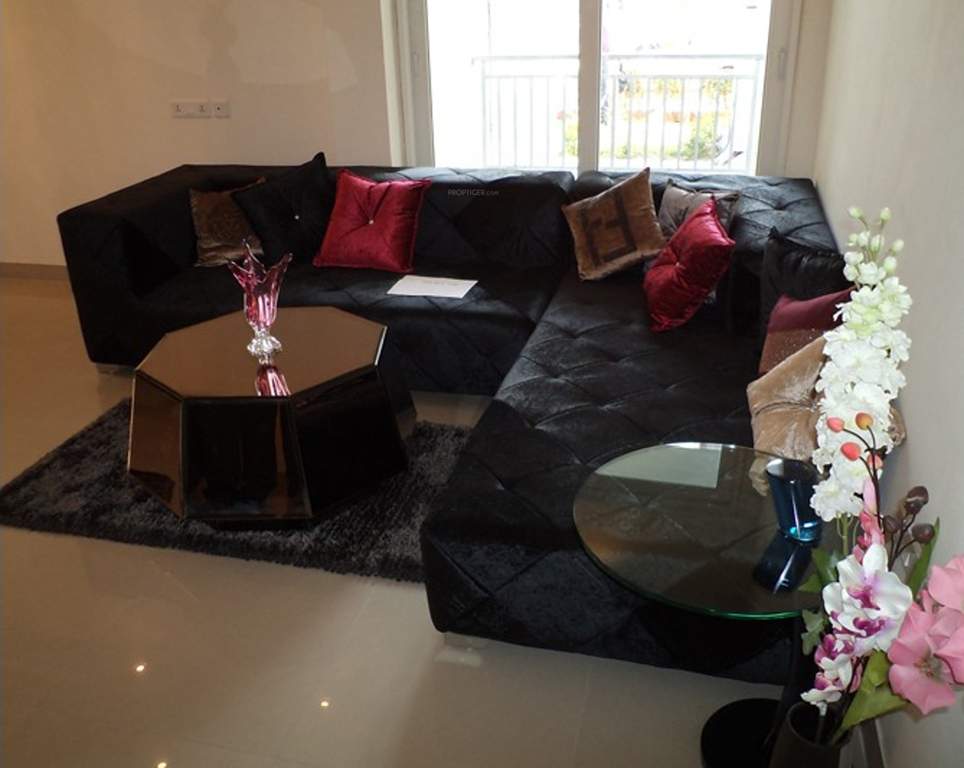 max royal Images for Main Other of Sethi Max Royal