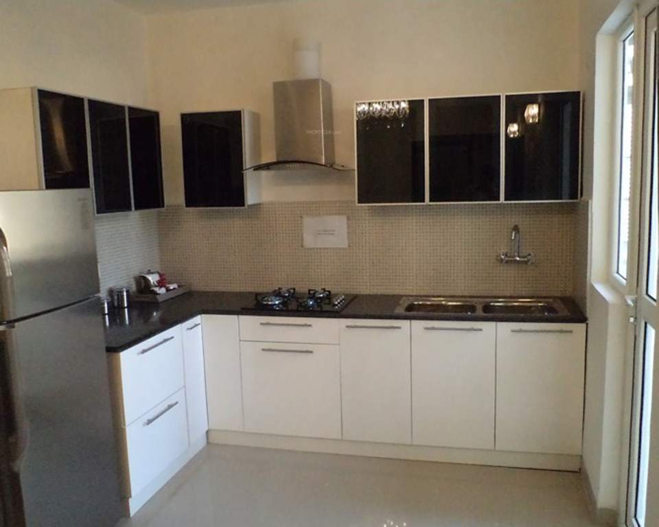 max royal Images for Main Other of Sethi Max Royal