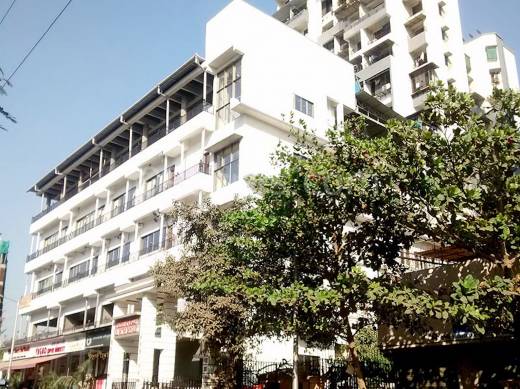 plaza Elevation Elevation