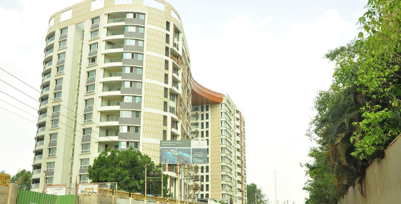  caladium Images for Elevation of Brigade Caladium