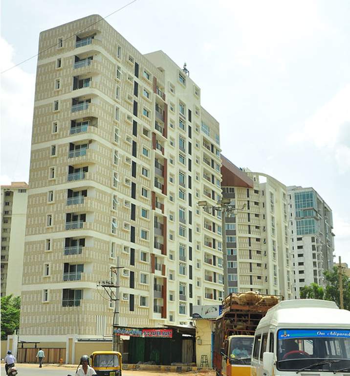  caladium Images for Elevation of Brigade Caladium