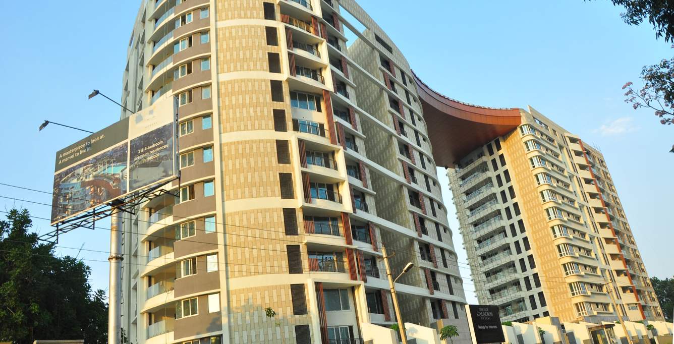  caladium Images for Elevation of Brigade Caladium