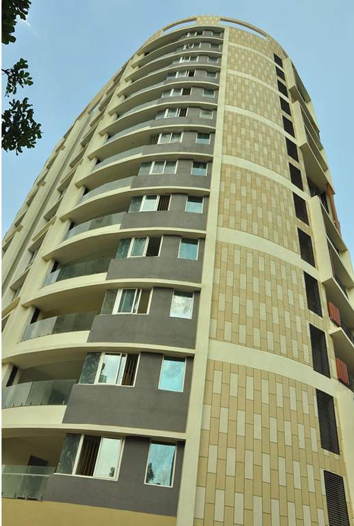  caladium Images for Elevation of Brigade Caladium