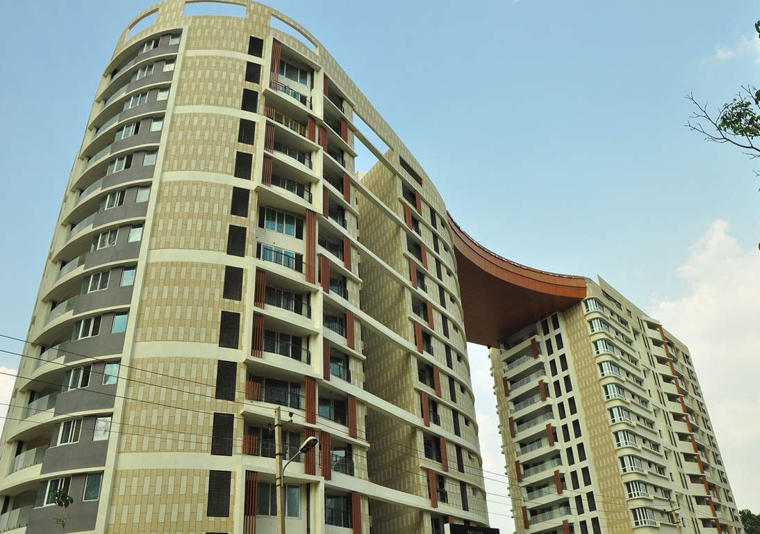  caladium Images for Elevation of Brigade Caladium