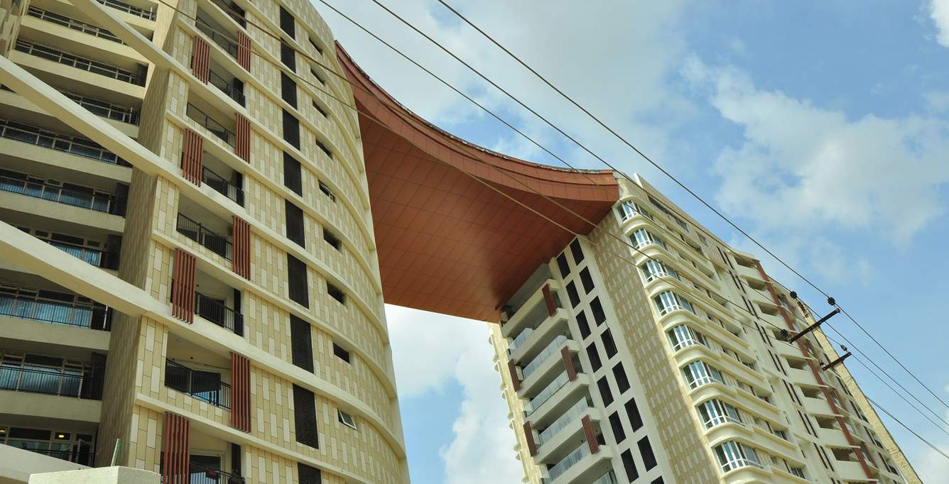  caladium Images for Elevation of Brigade Caladium