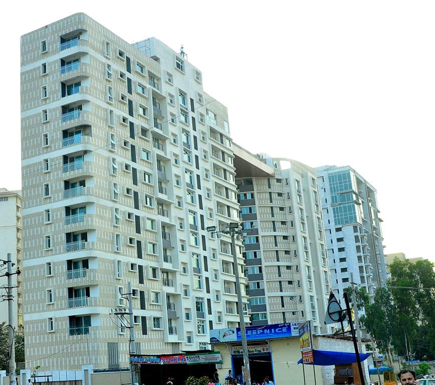  caladium Images for Elevation of Brigade Caladium