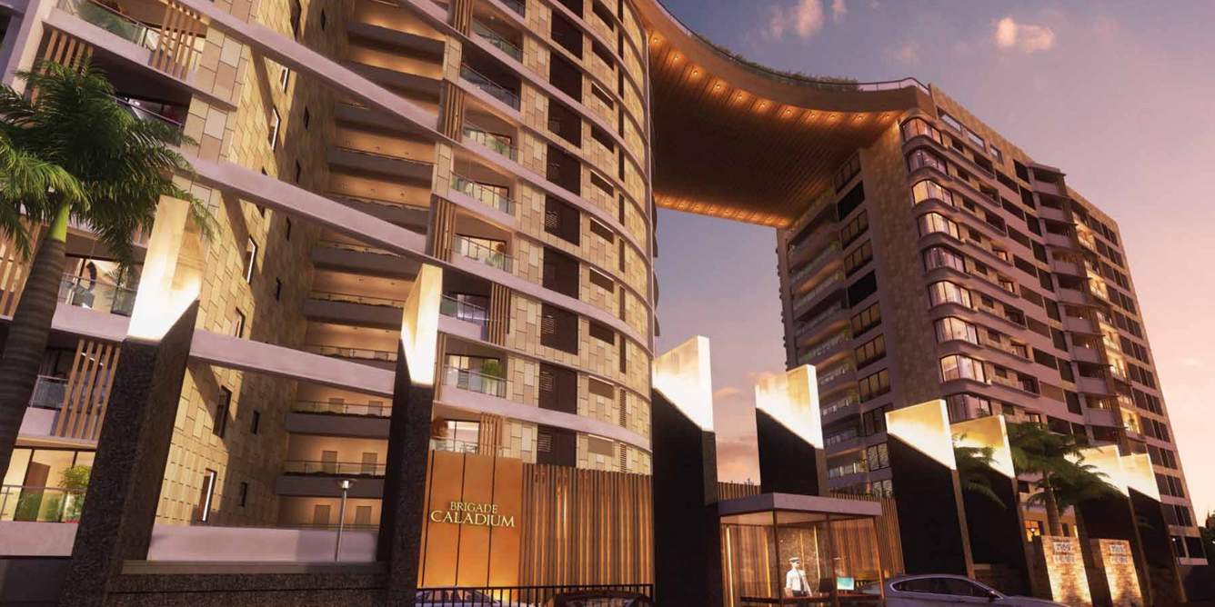  caladium Images for Elevation of Brigade Caladium