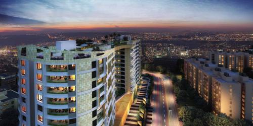  caladium Images for Elevation of Brigade Caladium