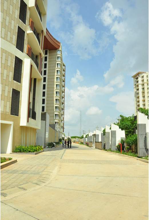  caladium Images for Amenities of Brigade Caladium