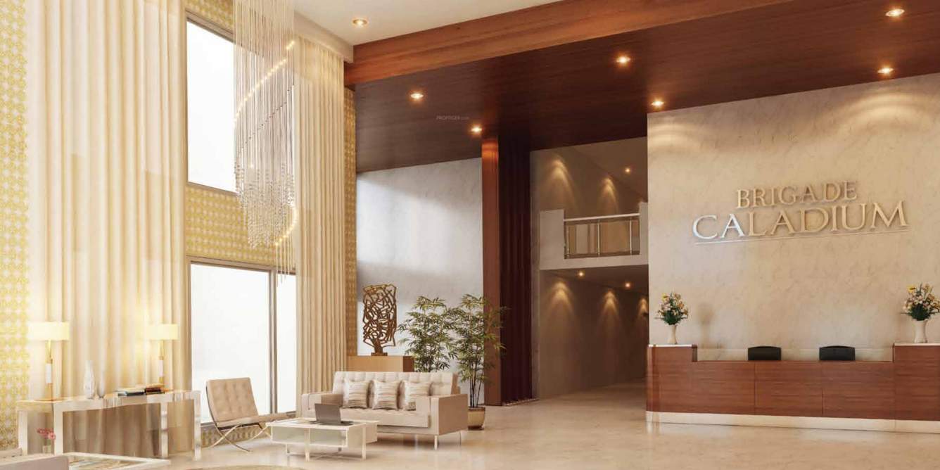  caladium Images for Main Other of Brigade Caladium