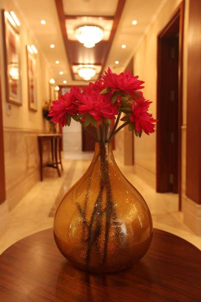 Images for Main Other of DLF Queens Court